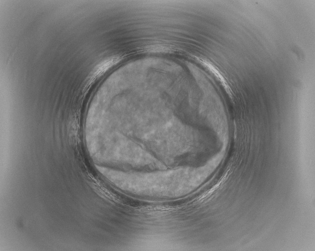 X0000116140930200912211445