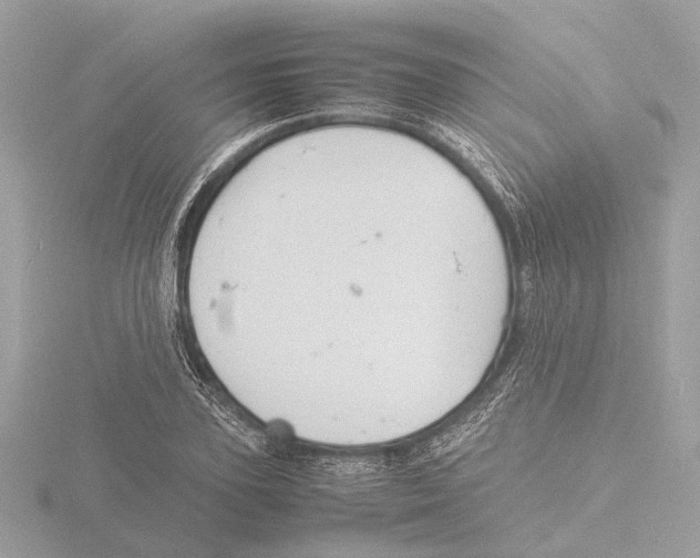 X0000116140931200912211445