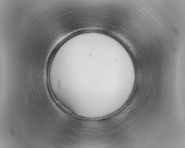 X0000116140935200912211445