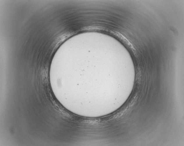 X0000116140937200912211445