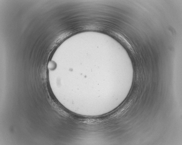 X0000116140938200912211445