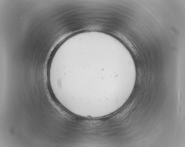 X0000116140939200912211445