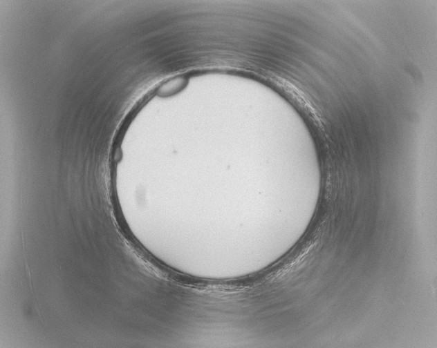 X0000116140942200912211446