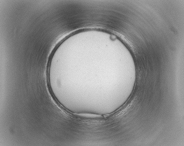 X0000116140943200912211446