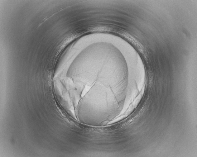 X0000116140945200912211446