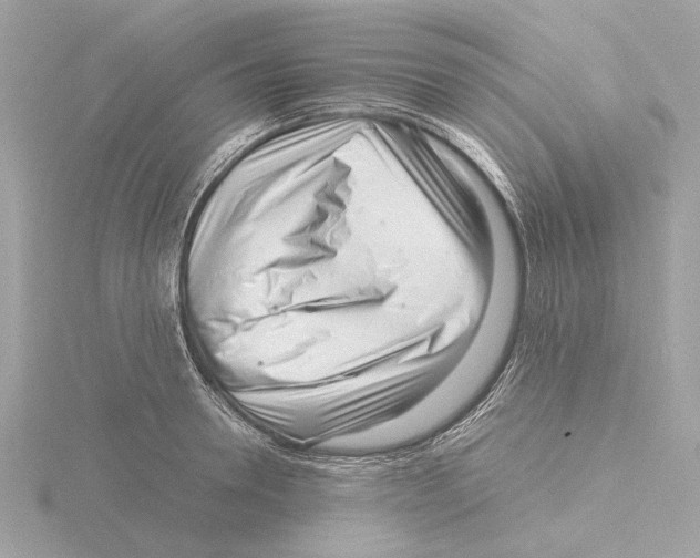 X0000116140946200912211446