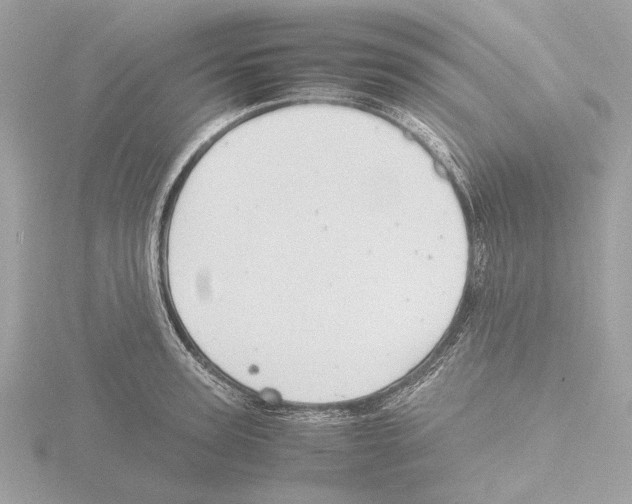 X0000116140947200912211446