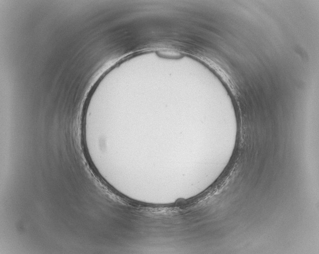 X0000116140949200912211446