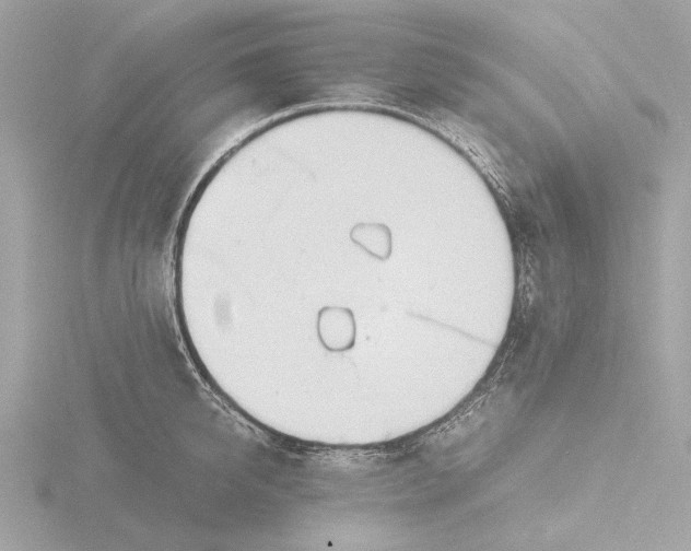 X0000116140950200912211446