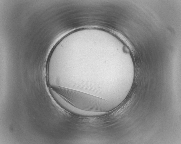 X0000116140951200912211446