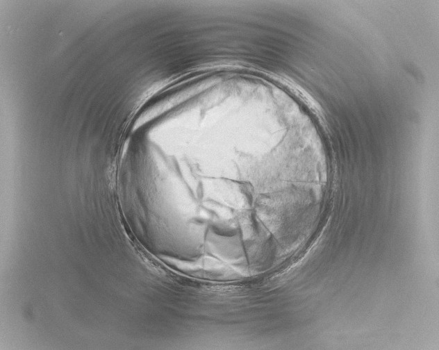 X0000116140953200912211446