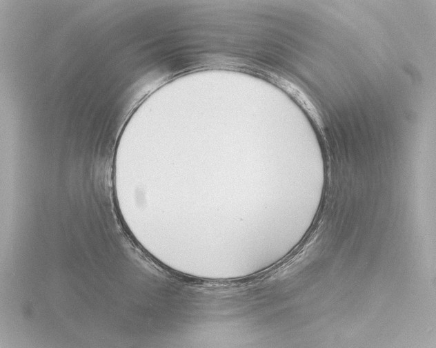 X0000116140954200912211446