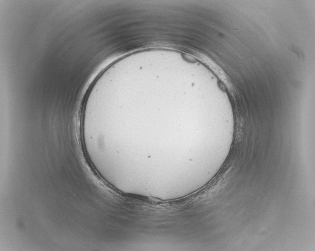 X0000116140955200912211446