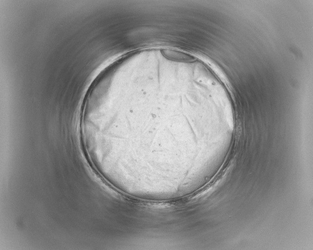 X0000116140957200912211446