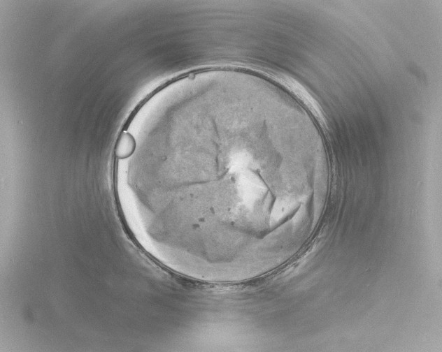 X0000116140958200912211446