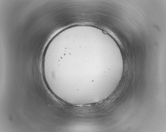 X0000116140959200912211446