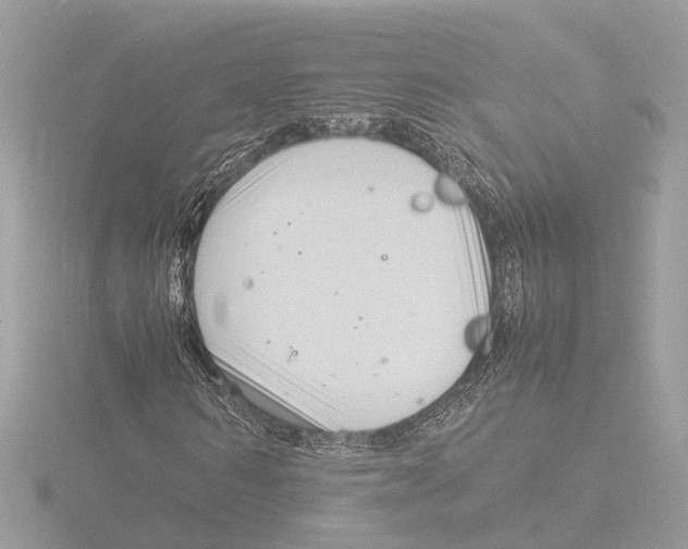 X0000116140962200912211445