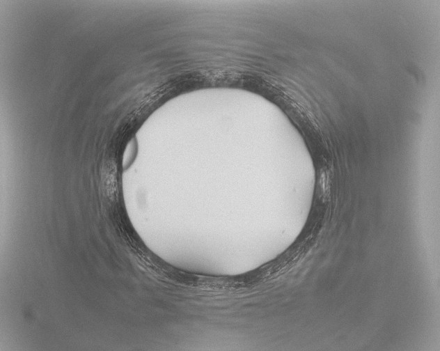 X0000116140963200912211445