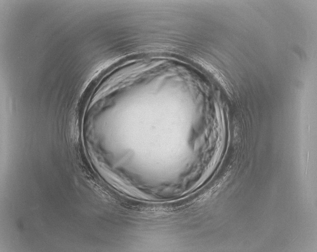 X0000116140973200912211445