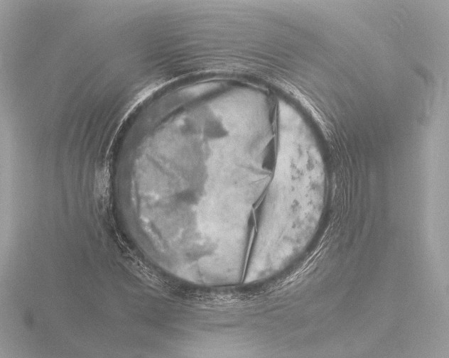 X0000116140975200912211445