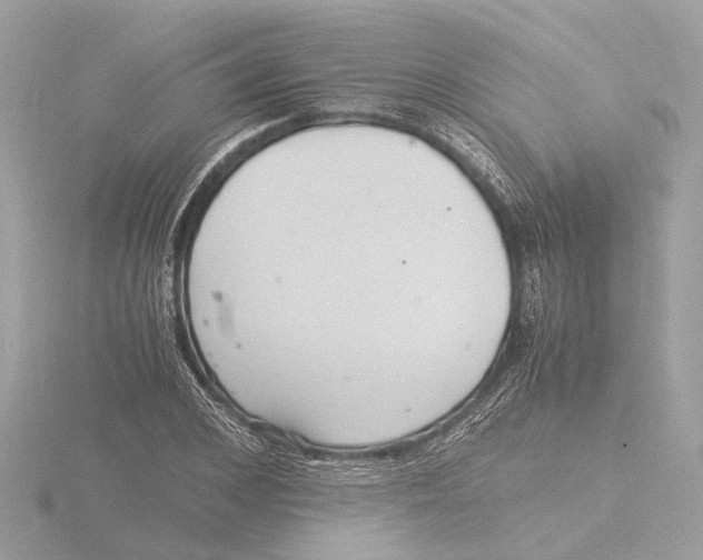 X0000116140976200912211445