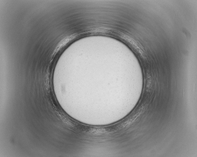 X0000116140978200912211445