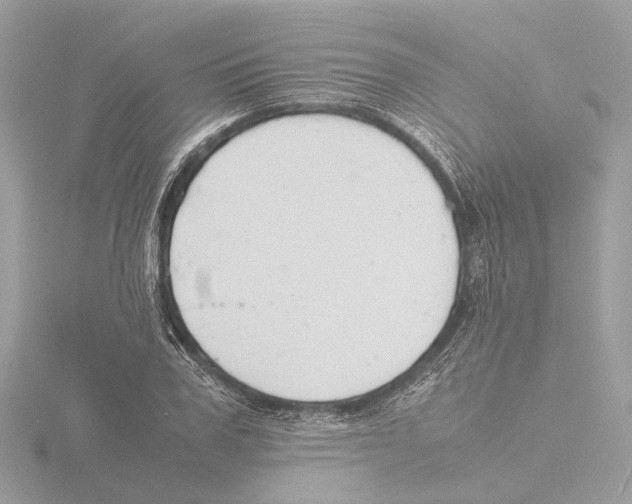 X0000116140979200912211445