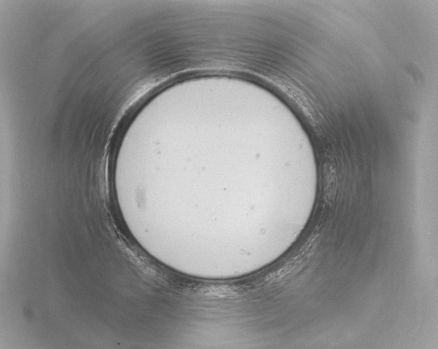 X0000116140982200912211445