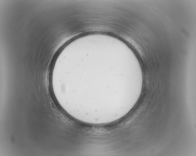 X0000116140983200912211445