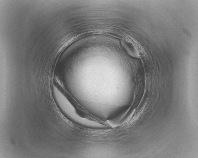 X0000116140985200912211445