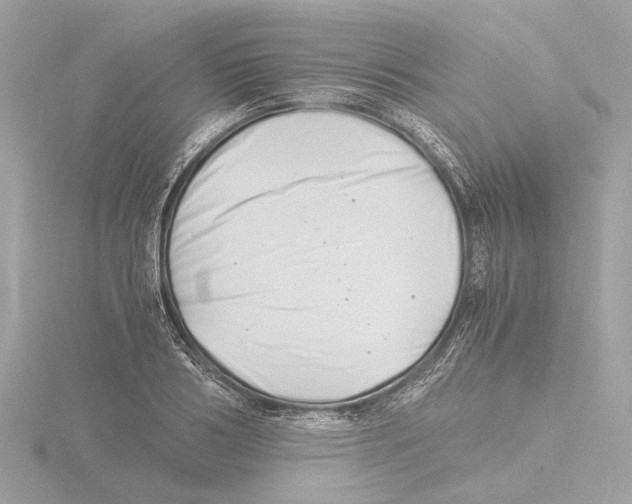 X0000116140986200912211445