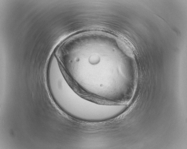 X0000116140989200912211445