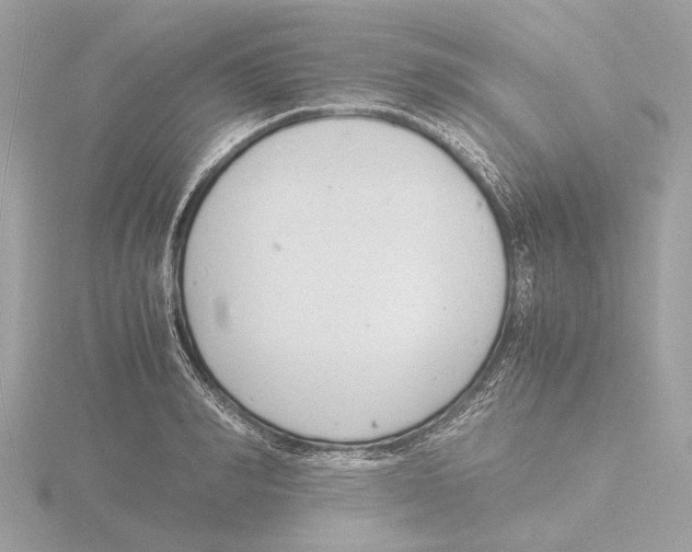 X0000116140990200912211445