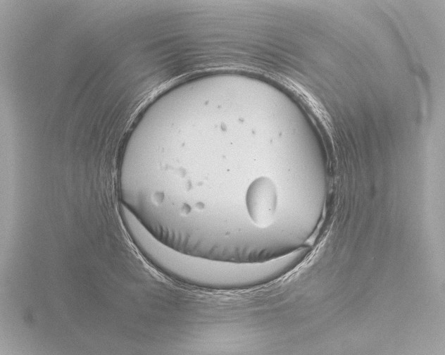 X0000116140993200912211445