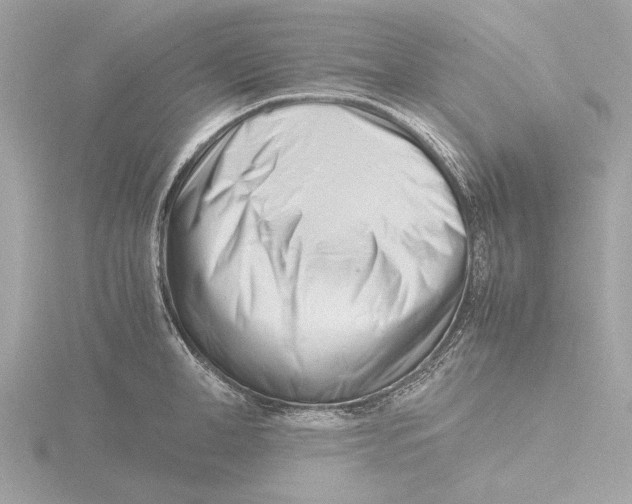 X0000116140998200912211445