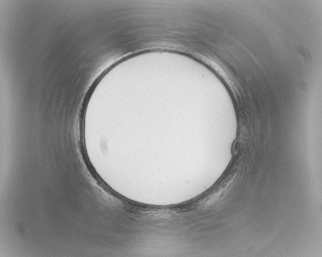 X0000116140999200912211445