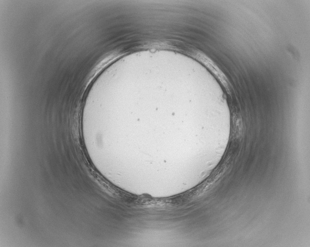 X0000116141002200912211445