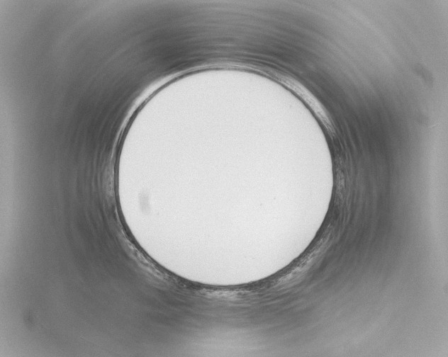 X0000116141004200912211445