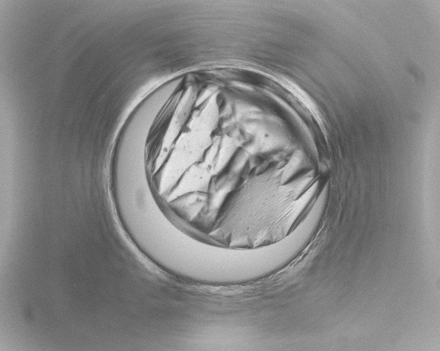 X0000116141005200912211445