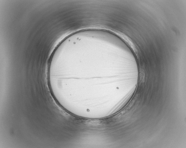 X0000116141006200912211445