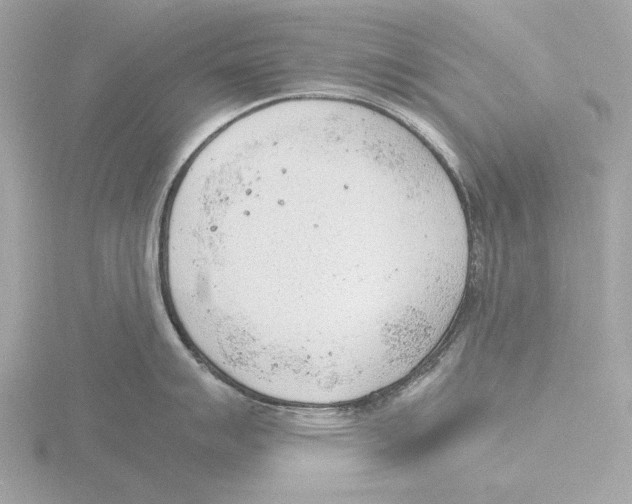 X0000116141007200912211445