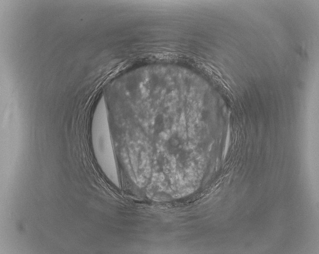 X0000116141009200912211444