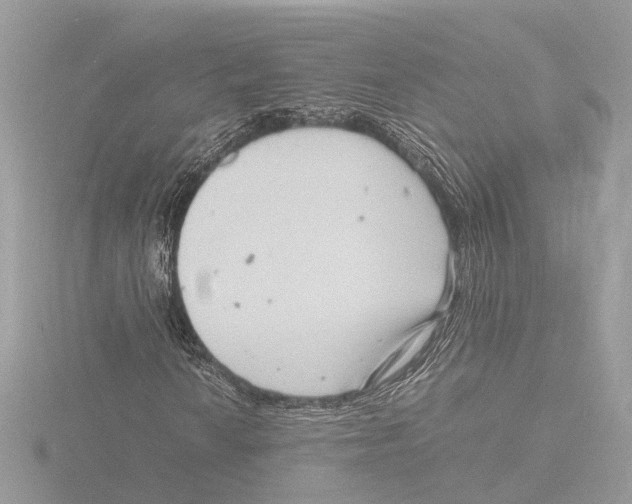 X0000116141010200912211444