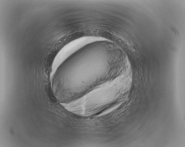 X0000116141013200912211444