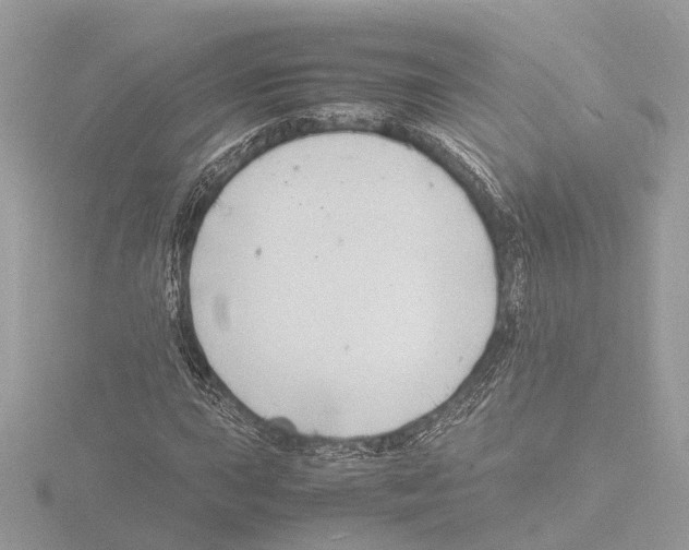 X0000116141015200912211444