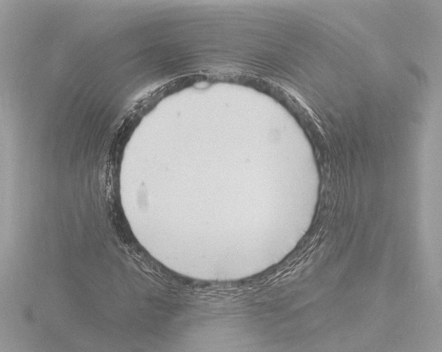 X0000116141016200912211444