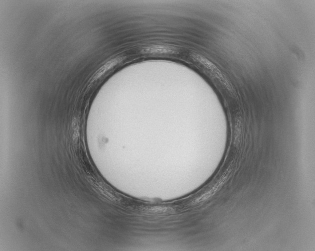 X0000116141017200912211444