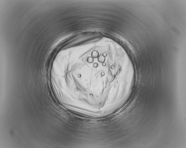 X0000116141019200912211444