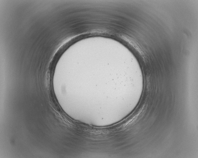 X0000116141021200912211444