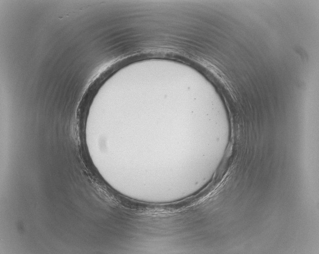 X0000116141022200912211444